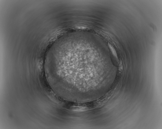 X0000112950559200909071118