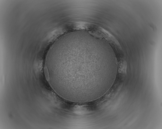 X0000112950560200909071118