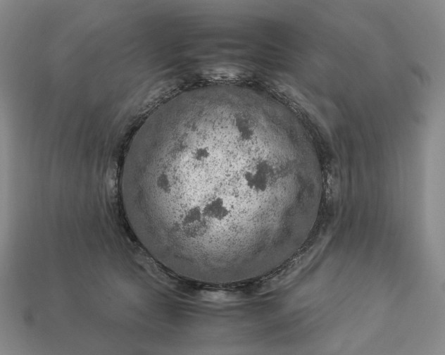 X0000112950561200909071118