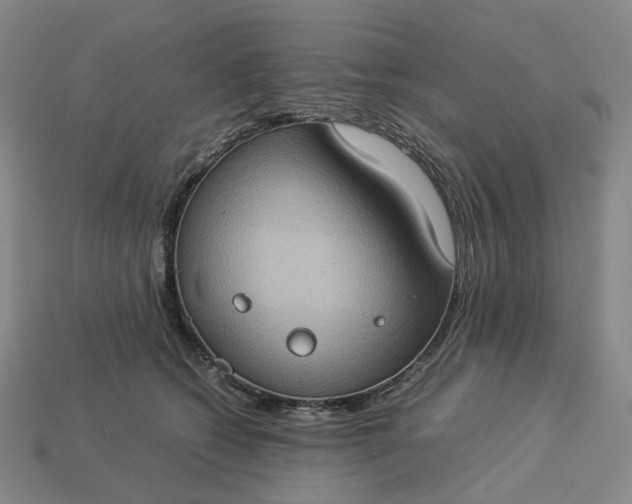 X0000112950562200909071118