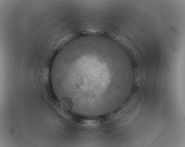 X0000112950563200909071118