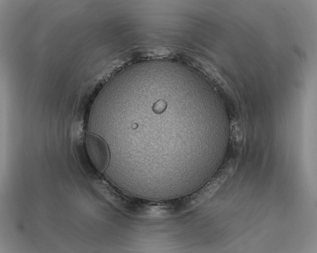 X0000112950564200909071118