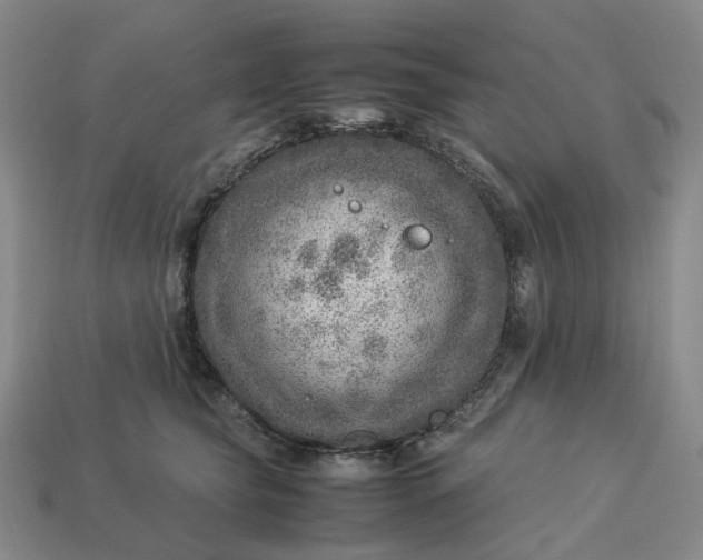 X0000112950565200909071118