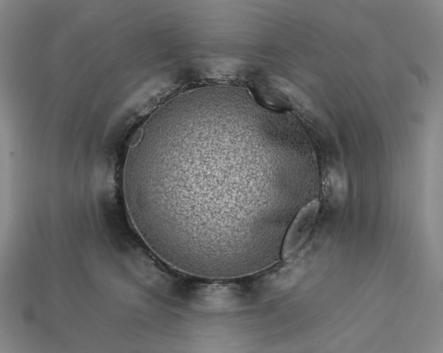 X0000112950566200909071118