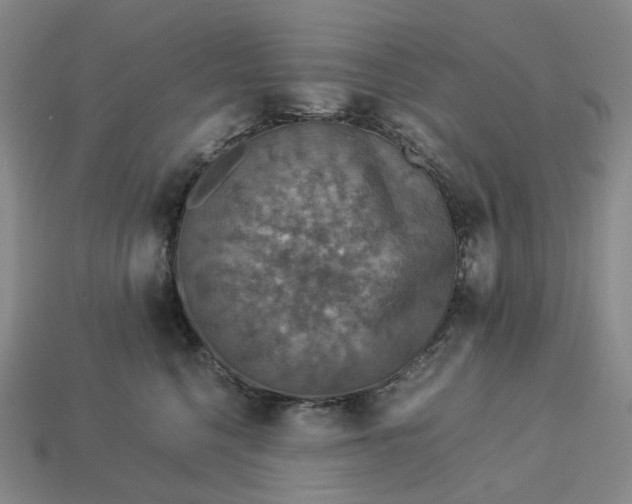 X0000112950568200909071118