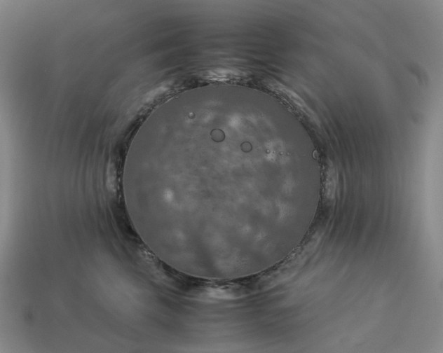 X0000112950569200909071118