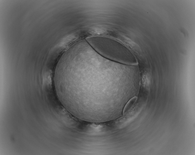 X0000112950570200909071118