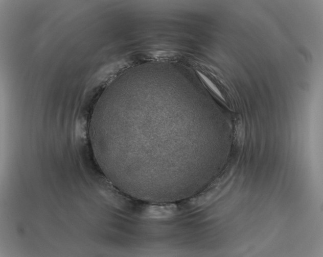 X0000112950571200909071118