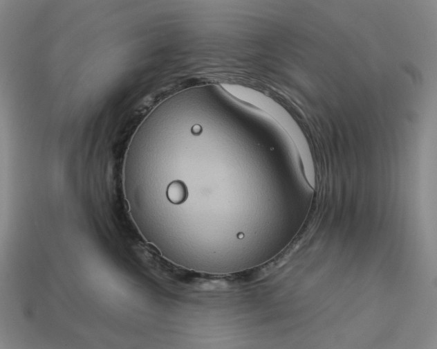 X0000112950572200909071118