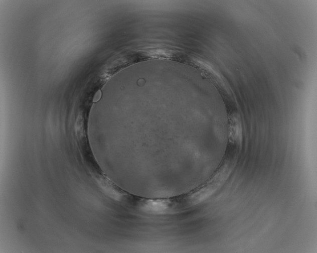 X0000112950573200909071118