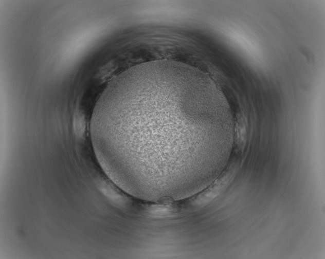 X0000112950574200909071118