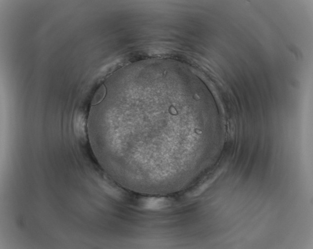 X0000112950575200909071118