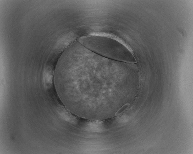 X0000112950576200909071118