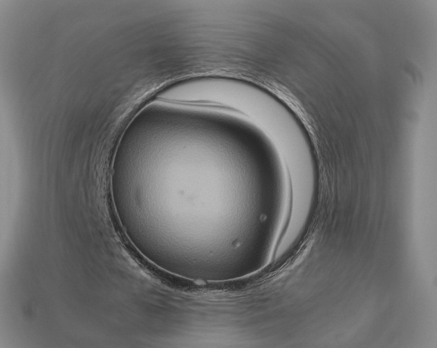 X0000112950577200909071117