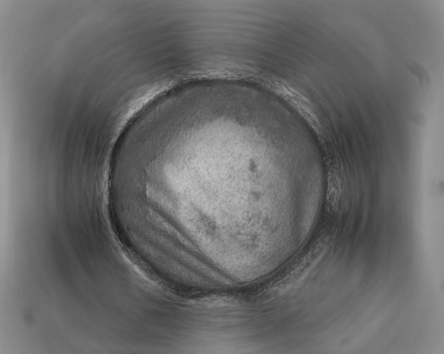 X0000112950578200909071117