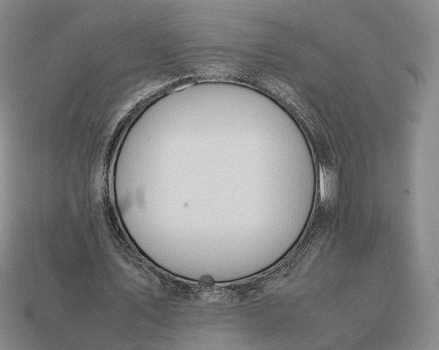 X0000112950579200909071117