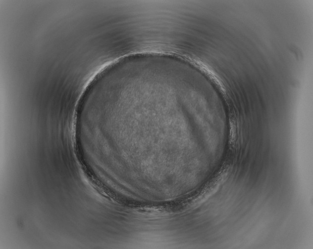 X0000112950580200909071117