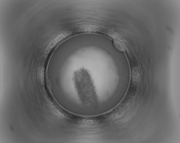 X0000112950581200909071117