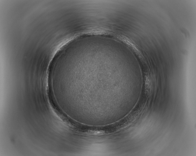 X0000112950582200909071117