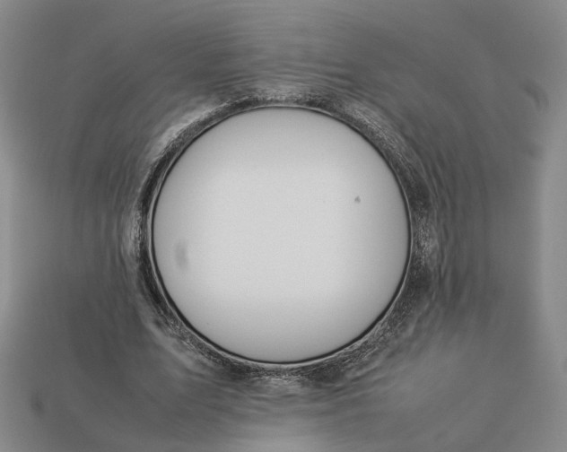 X0000112950583200909071117