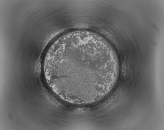 X0000112950584200909071117