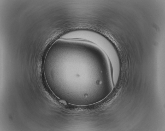 X0000112950585200909071117