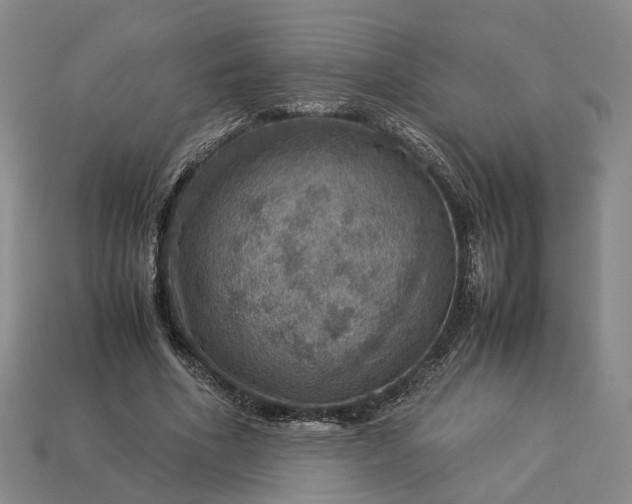 X0000112950586200909071117