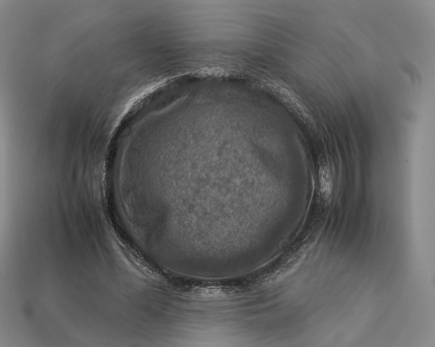 X0000112950588200909071117