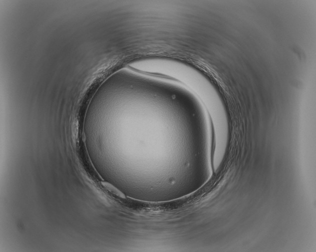 X0000112950589200909071117