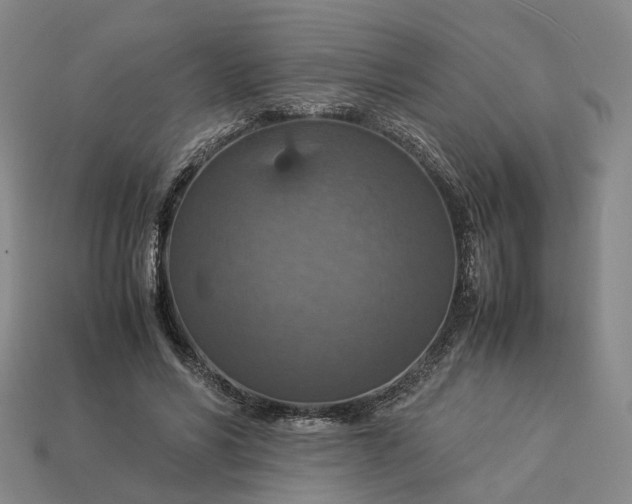 X0000112950590200909071117