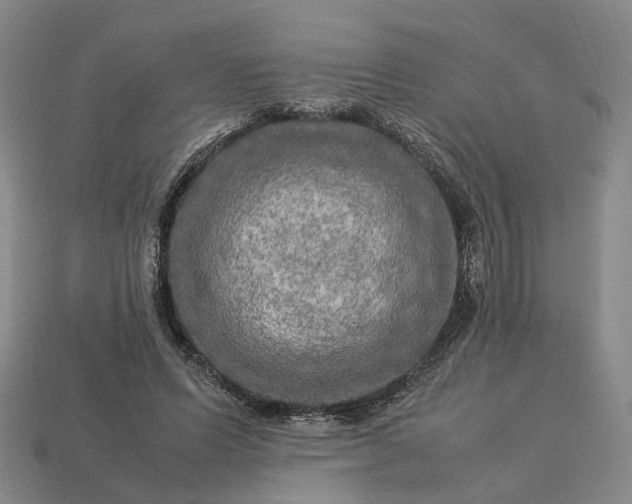 X0000112950591200909071117