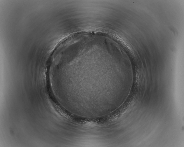 X0000112950592200909071117