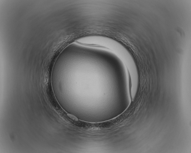 X0000112950593200909071117