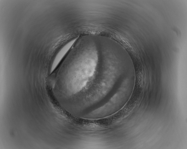 X0000112950594200909071117