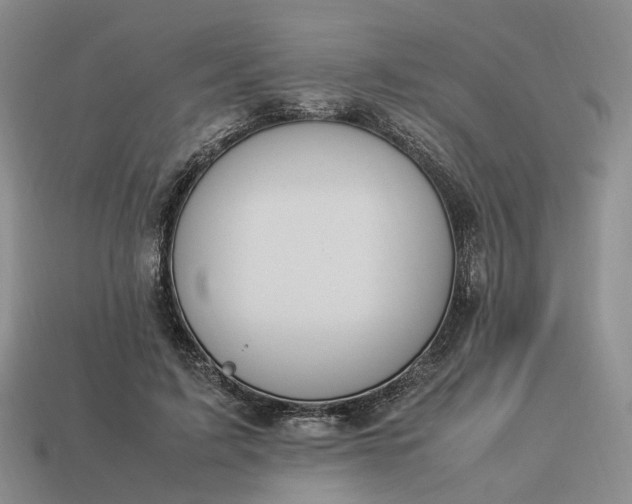 X0000112950595200909071117