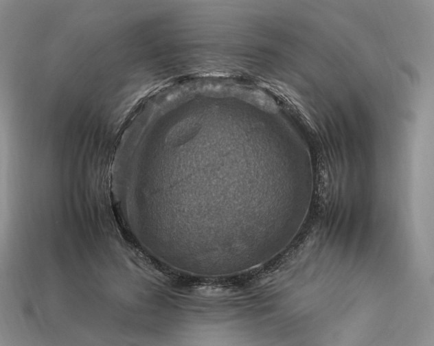 X0000112950596200909071117