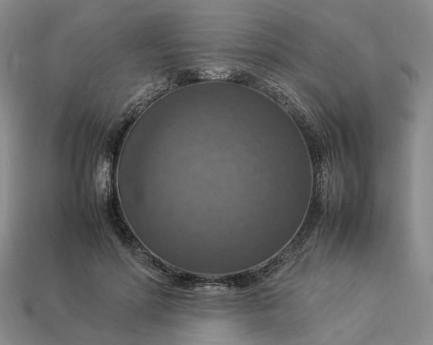 X0000112950598200909071117