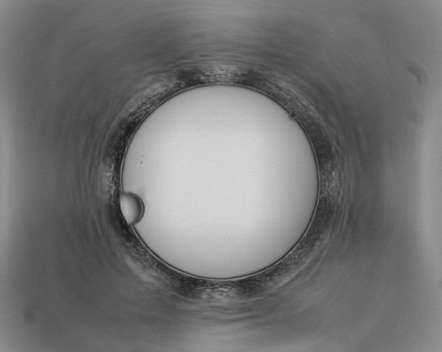 X0000112950599200909071117