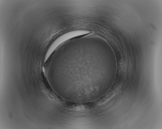 X0000112950600200909071117