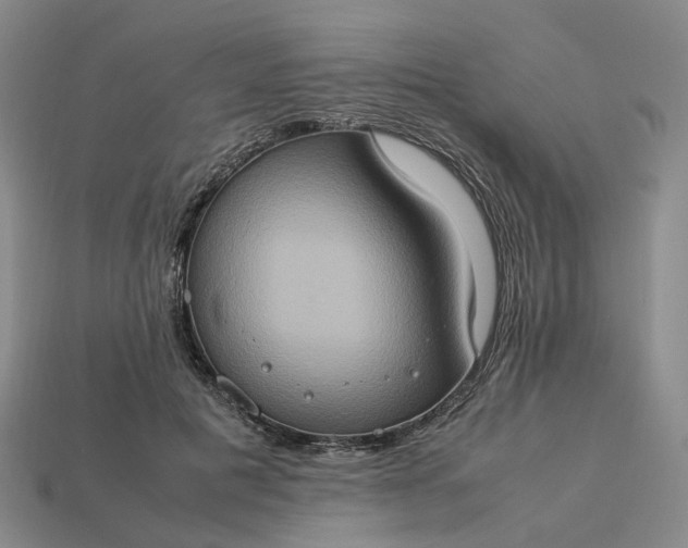 X0000112950601200909071117