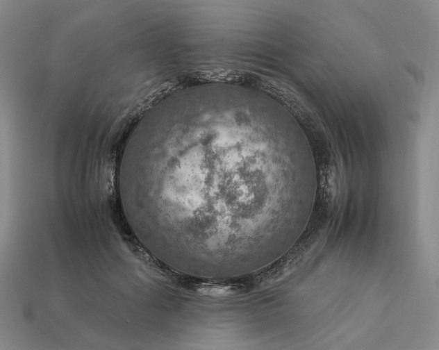 X0000112950602200909071117