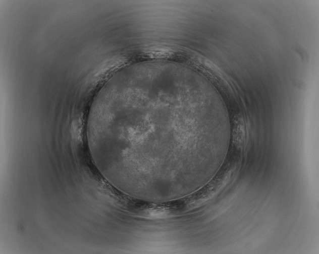 X0000112950604200909071117