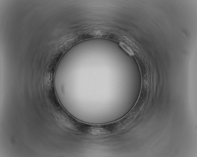 X0000112950605200909071117