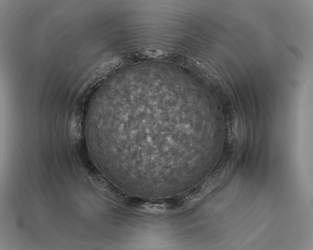 X0000112950606200909071117