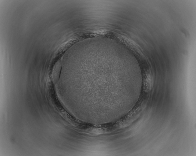 X0000112950608200909071117