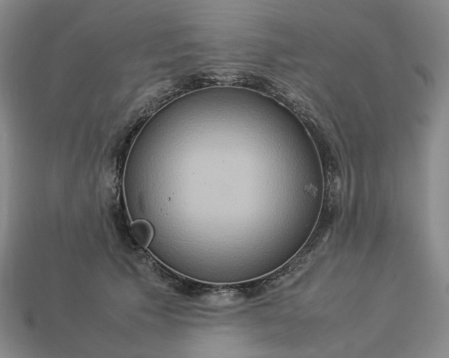 X0000112950609200909071117