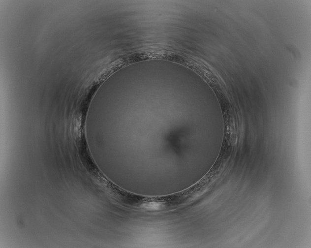 X0000112950610200909071117