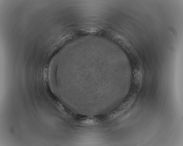 X0000112950612200909071117