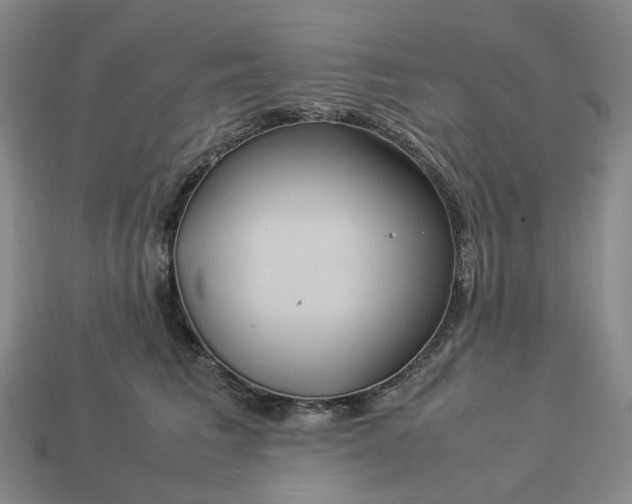 X0000112950613200909071117