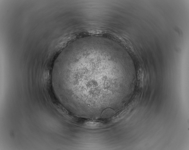 X0000112950614200909071117